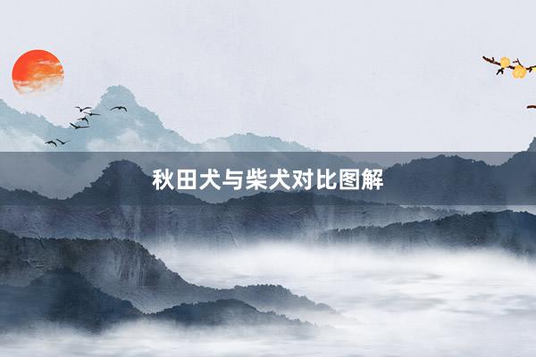 秋田犬与柴犬对比图解