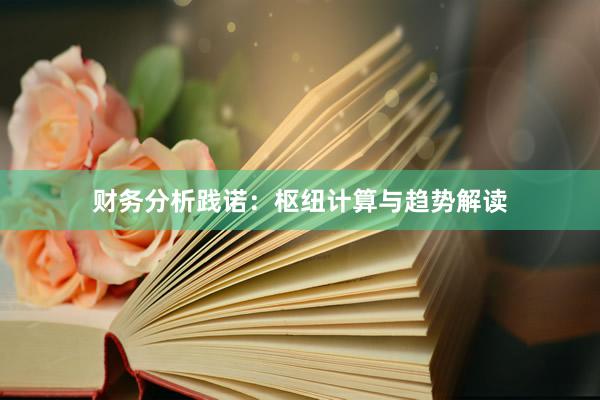 财务分析践诺:枢纽计算与趋势解读